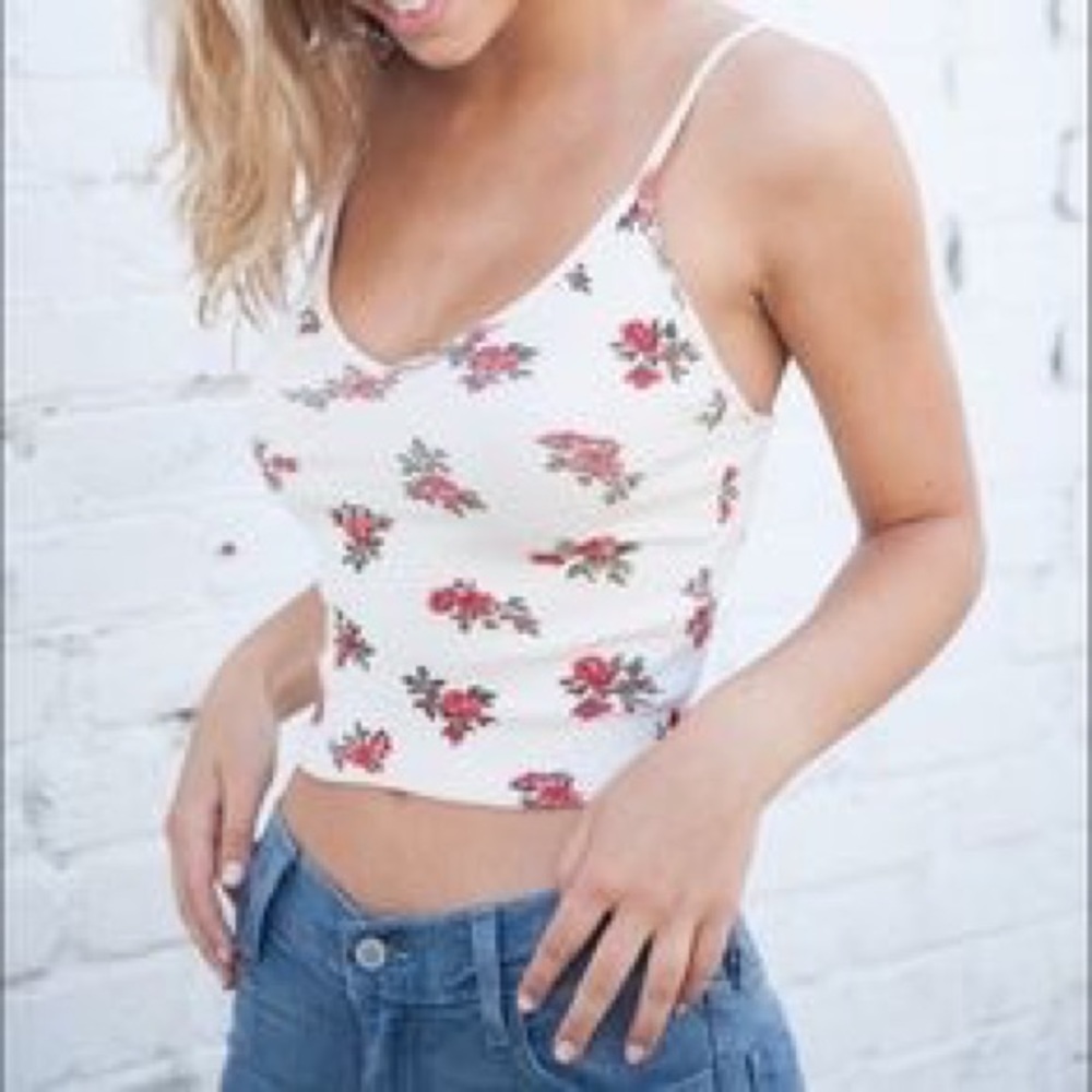 Brandy Melville Floral Crop Top